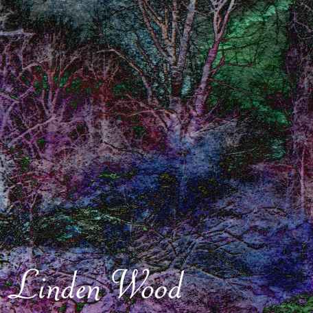 Front cover image of the Linden Wood album